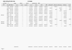 ตัวอย่างรายงานแบบภพ.30 ของลูกค้ารายตัวแบบรอบบัญชีปกติ